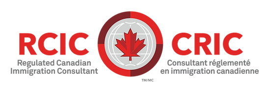 Blink Immigration Services LTD
